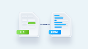 XLS to XBRL